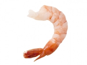 Partygarnelen - Cocktailshrimps