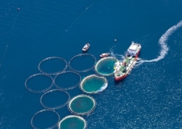 Offshore Farm - Fischzucht draußen am Meer