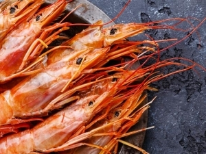 Garnelen/Shrimps